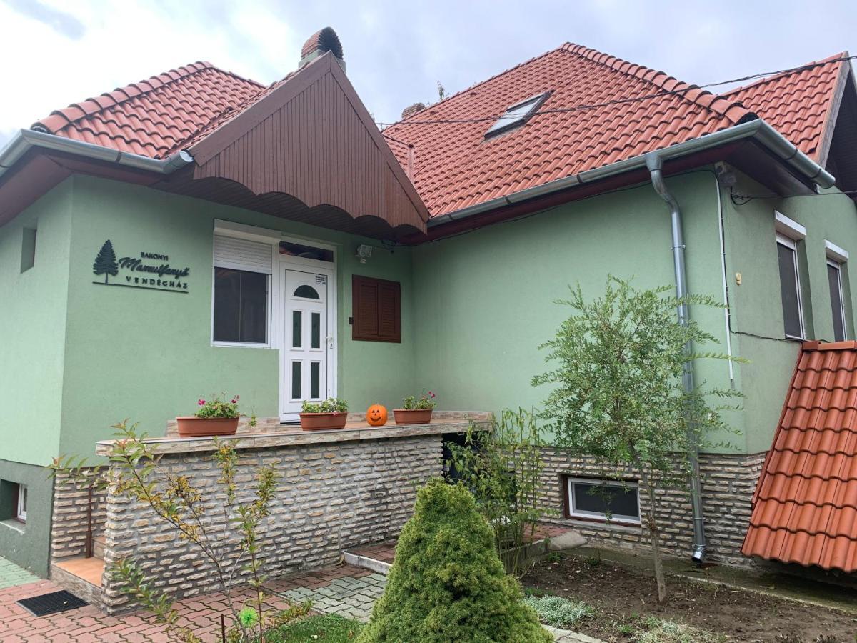 Ferienwohnung Bakonyi Mamutfenyo Vendeghaz Tés Exterior foto