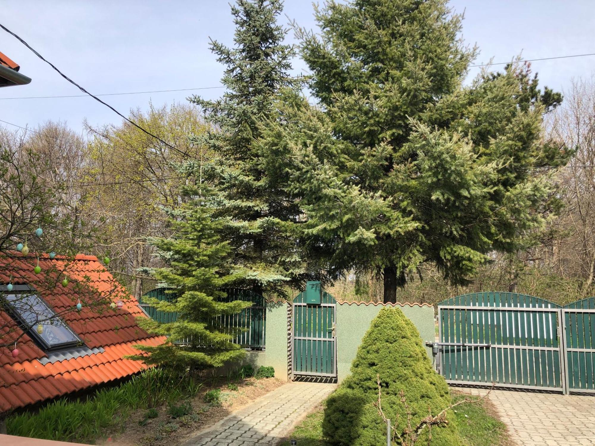 Ferienwohnung Bakonyi Mamutfenyo Vendeghaz Tés Exterior foto