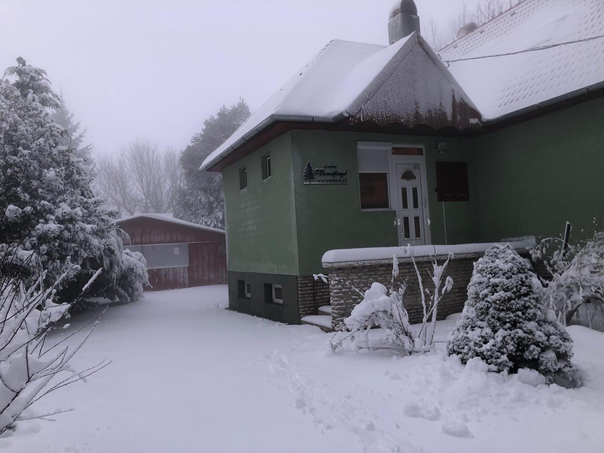 Ferienwohnung Bakonyi Mamutfenyo Vendeghaz Tés Exterior foto